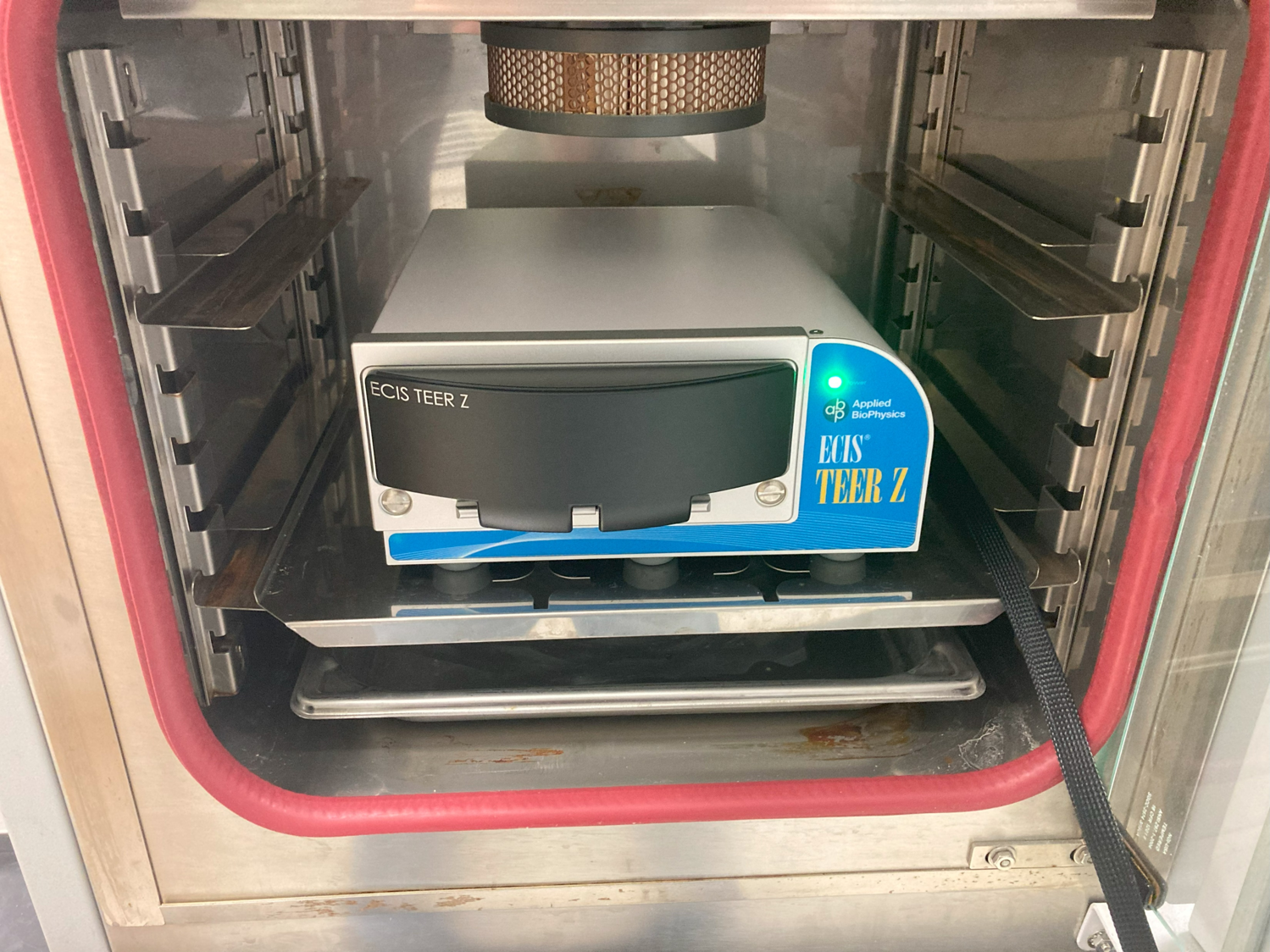 請(qǐng)?zhí)顚憳?biāo)題